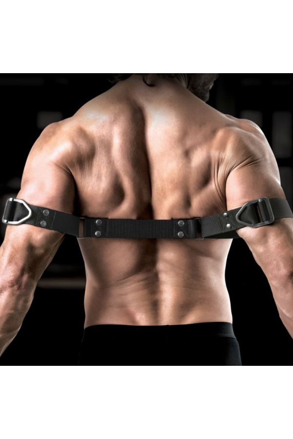 Commande Biceps Bender Sir Richards - Qualité Premium, Livraison Discrète