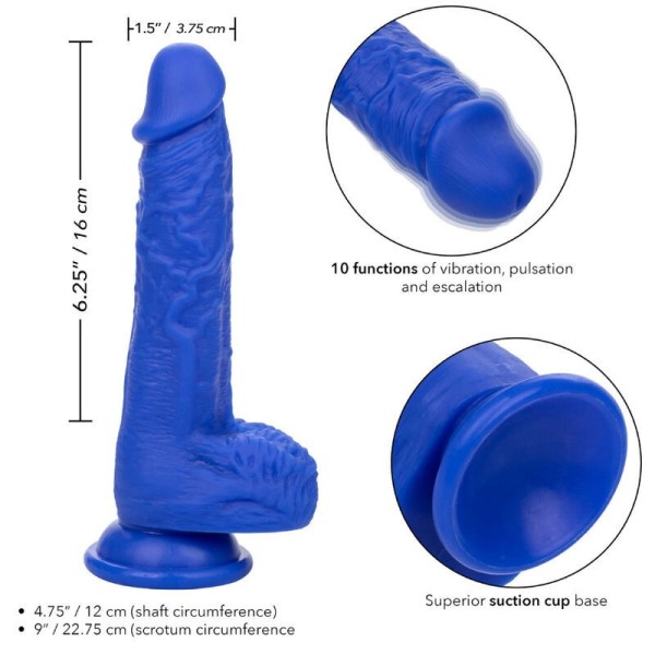 CALEXOTICS - ADMIRAL VIBRATEUR GODE RÉALISTE SAILOR BLEU CALEXOTICS