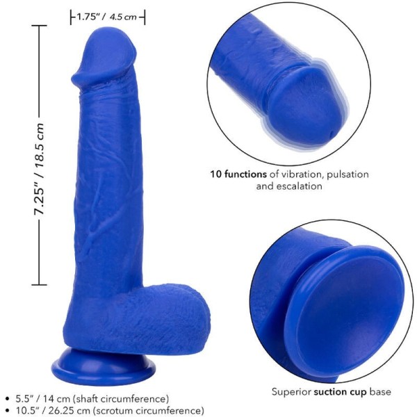 CALEXOTICS - ADMIRAL VIBRATEUR GODE RÉALISTE CAPTAIN BLEU CALEXOTICS