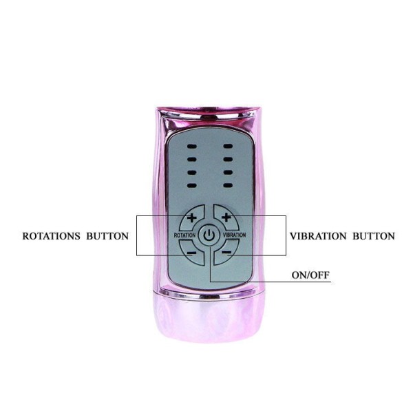 BAILE - US LAPIN PAPILLON PALNITANT BAILE ROTATIONS