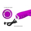 PRETTY LOVE - VIBRATEUR REGINA - ONDES STIMULANTES RECHARGEABLES VIOLET PRETTY LOVE C-TYPE