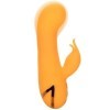 CALEXOTICS - MONTECITO MUSE VIBRATEUR LAPIN ORANGE PAR CALIFORNIA DREAMING CALEXOTICS