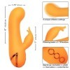 CALEXOTICS - MONTECITO MUSE VIBRATEUR LAPIN ORANGE PAR CALIFORNIA DREAMING CALEXOTICS