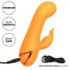 CALEXOTICS - MONTECITO MUSE VIBRATEUR LAPIN ORANGE PAR CALIFORNIA DREAMING CALEXOTICS