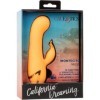 CALEXOTICS - MONTECITO MUSE VIBRATEUR LAPIN ORANGE PAR CALIFORNIA DREAMING CALEXOTICS