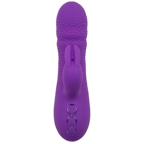CALEXOTICS - MANHATTAN BEACH MARVEL VIBRATEUR RABBIT VIOLET PAR CALIFORNIA DREAMING CALEXOTICS