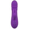 CALEXOTICS - MANHATTAN BEACH MARVEL VIBRATEUR RABBIT VIOLET PAR CALIFORNIA DREAMING CALEXOTICS
