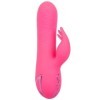 CALEXOTICS - SACRAMENTO SWEETIE VIBRATEUR LAPIN ROSE PAR CALIFORNIA DREAMING CALEXOTICS