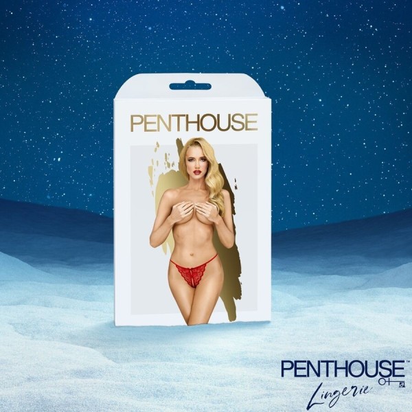 SATISFYER - CALENDRIER DE L'AVENT PREMIUM 2025 SATISFYER