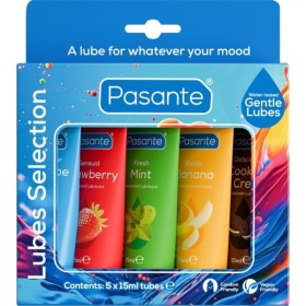 PASANTE - LUBRICANTE SABORES SURTIDOS PACK 5 UNIDADES X 15 ML PAS