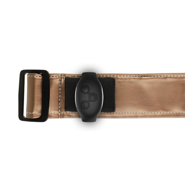 HARNAIS FANTAISIE BRONZE S/M - Qualité Premium, Livraison Discrète