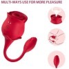 ARMONY - ASPIRATEUR ET VIBRATEUR DE CLITORIS ROSE 10 MODES ROUGE ARMONY STIMULATORS