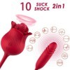 ARMONY - ROSELIP LICKING VIBRANT CLITO & VIBRATEUR ROUGE ARMONY STIMULATORS