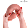 MR INTENSE - DILDO DE SILICONE EXTRABIG SPENCER 28 CM -Ø- 7,3 CM MR. INTENSO