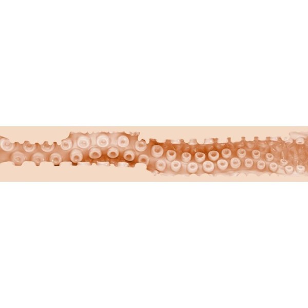 SASHA NAKAMOTO VAGIN FLESHLIGHT FANTASY - Vagins sans vibration