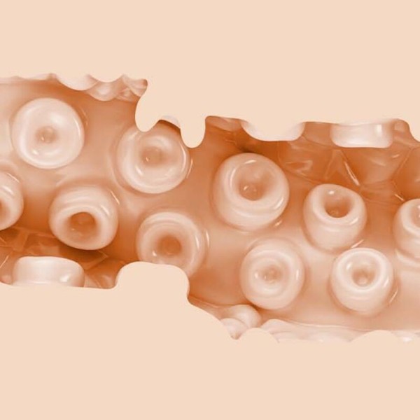 SASHA NAKAMOTO VAGIN FLESHLIGHT FANTASY - Vagins sans vibration