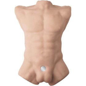 SILEXD - TORSO MASCULINO REALISTA APOLO L SILEXD