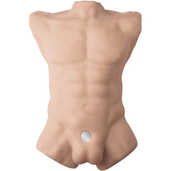 SILEXD - TORSO MASCULINO REALISTA APOLO L SILEXD