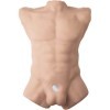 SILEXD - TORSO MASCULINO REALISTA APOLO L SILEXD