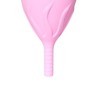 FEMINTIMATE - COPA MENSTRUAL EVE SILICONA - TALLA L FEMINTIMATE