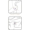 ADRIEN LASTIC - STIMULATEUR DE CLITORIS SMART DREAM 3.0 & TÉLÉCOMMANDE G-SPOT VIOLET - APPLICATION GRATUITE ADRIEN LASTIC