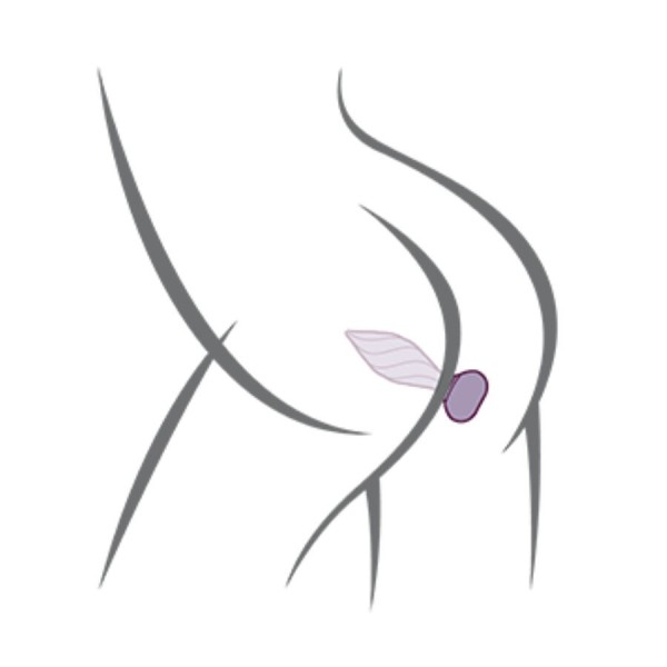 ROCKS-OFF - PLUG ANAL DESIRE PETITE SENSACIONES CON MANDO NEGRO R