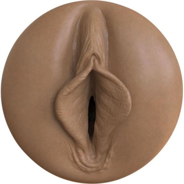 FLESHLIGHT BOOST - MASTURBATEUR DE CHAIR VAGINA BANG MD RP FLESHLIGHT BOOST