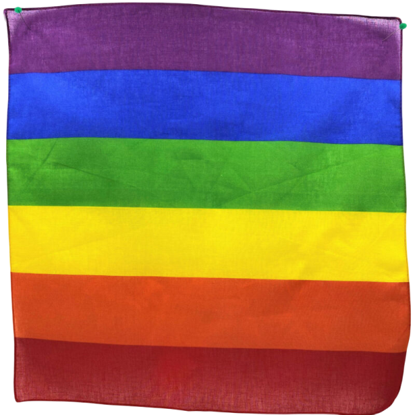 Orgullo - Bufanda Lgbt 50 X 50 - Accesorios