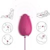 VIBRATEUR MANDALA EGG TÉLÉCOMMANDE G-SPOT FUCHSIA ARMONY STIMULATORS