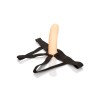 Calexotics - PPA Avec Jock Strap Chair