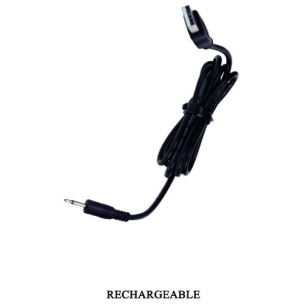 PRETTY LOVE - ESTIMULADOR INTELIGENTE CON CONTROL REMOTO WILLIE P