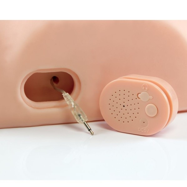 MASTURBATEUR MASCULIN INTERACTIF PDX MALE - Télécommande