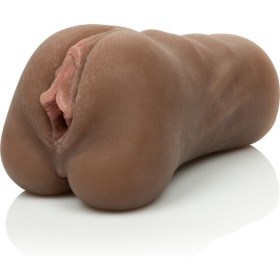 CALEXOTICS - O CORTE DE SOBRANCELHAS DE BICHANO CALEXOTICS