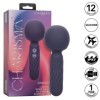 CALEXOTICS - CHARISMA SEDUCTION MASSEUR 12 FONCTIONS 17,75 CM X 6,25 CM VIOLET CALEXOTICS