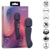 CALEXOTICS - CHARISMA ALLURE MASSEUR DOUBLE MOTEURS 12 FONCTIONS 17,25 CM X 4,5 CM VIOLET CALEXOTICS