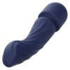 CALEXOTICS - CHARISMA ALLURE MASSEUR DOUBLE MOTEURS 12 FONCTIONS 17,25 CM X 4,5 CM VIOLET CALEXOTICS