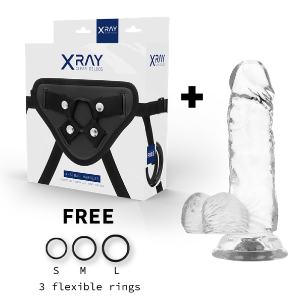 X RAY Harnais + Bite 15.5 CM | Livraison Discrète & Pas Cher