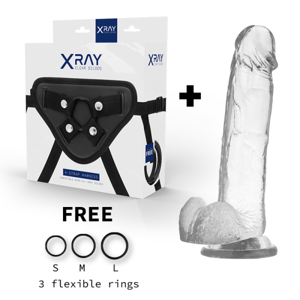 X RAY Harnais/Bite 22 cm: Qualité Premium, Livraison Discrète