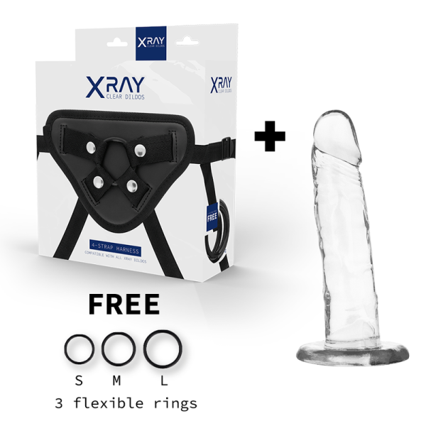 Achetez X RAY Harnais + Bite 18cm - Livraison Discrète