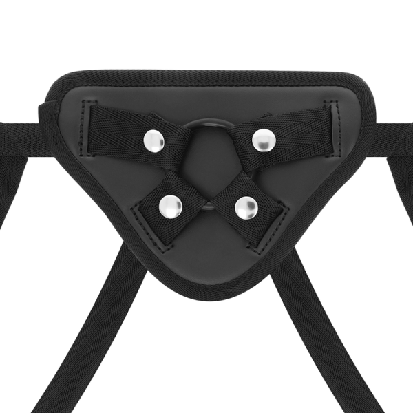 Achetez X RAY Harnais + Bite 18cm - Livraison Discrète