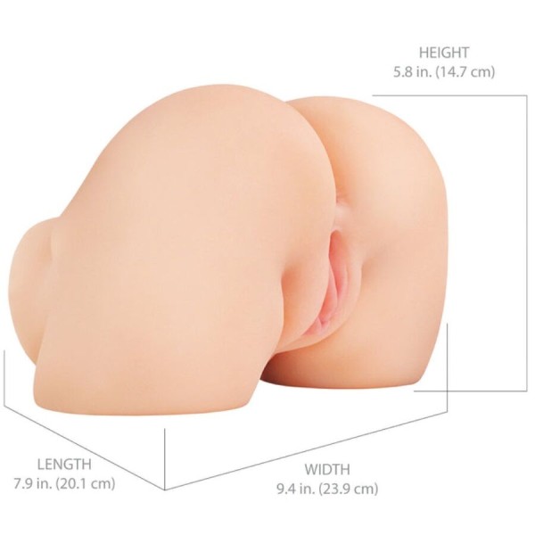 PDX Elite - Shakethat ASS Masturbateur Réaliste Vagin ET Anus ...