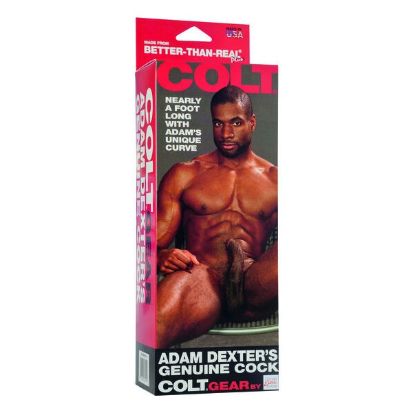 Calexotics - LA POLLA DE Colt Adam Dexter – Penes realistas