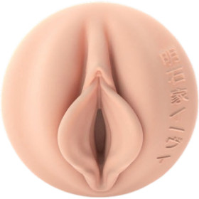 FLESHLIGHT EVIE AKASHIYA - Vagin Pas Cher, Livraison Discrète, Qualité Premium