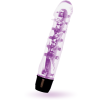 Glossy - Vibrateur Lenny Violet