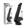 Basecock - Vibrateur Articulable Télécommande Noir 20 CM -O- 4...