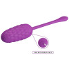 Découvrez l'Oeuf Vibrant Violet - Haute Qualité, Livraison Discrète
