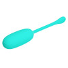 PRETTY LOVE - Oeuf Vibrant Julius Rechargeable Aqua Vert - Qualité Premium & Livraison Discrète