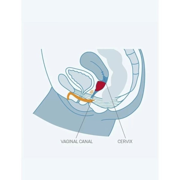 FUN FACTORY - FUN CUP TAMANHO B UVA FUN FACTORY