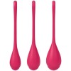 Satisfyer - Ensemble Entraînement Yoni Power 1 Rouge