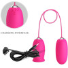 Oeuf Vibrant Daisy + Stimulateur Clitoris - Qualité Premium - Livraison Discrète - PRETTY LOVE